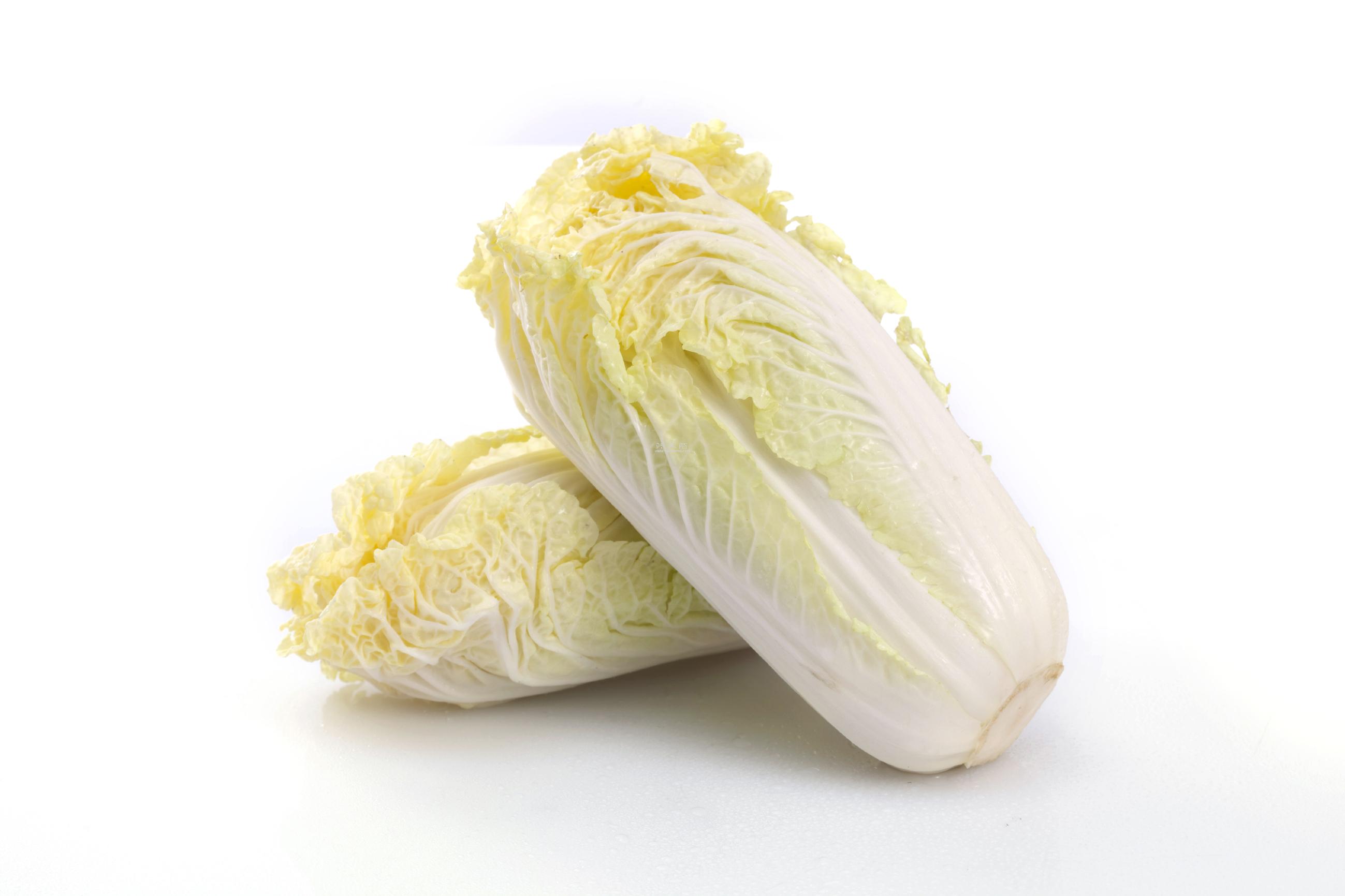 東莞市2023年第40周砂石批發(fā)價(jià)格監(jiān)測(cè)信息