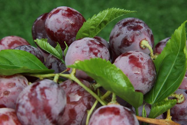 東莞市2023年第40周砂石批發(fā)價(jià)格監(jiān)測(cè)信息