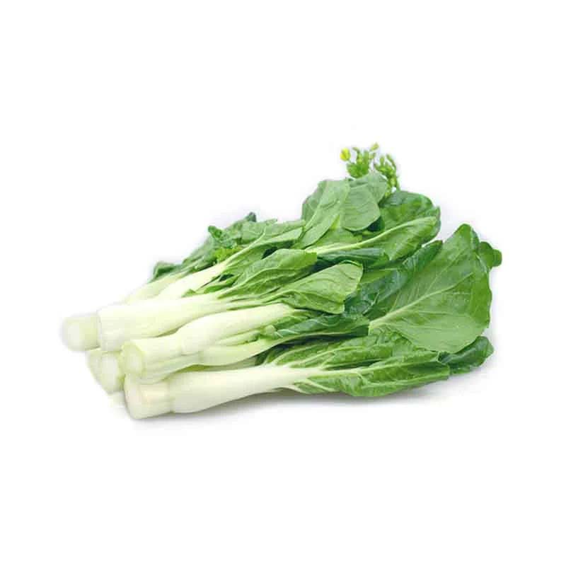 享受新鮮美味：新鮮食材購物指南