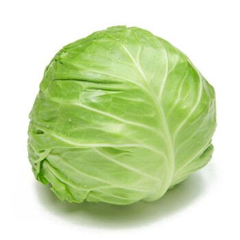 蔬菜配送價(jià)格表 2024-12-10