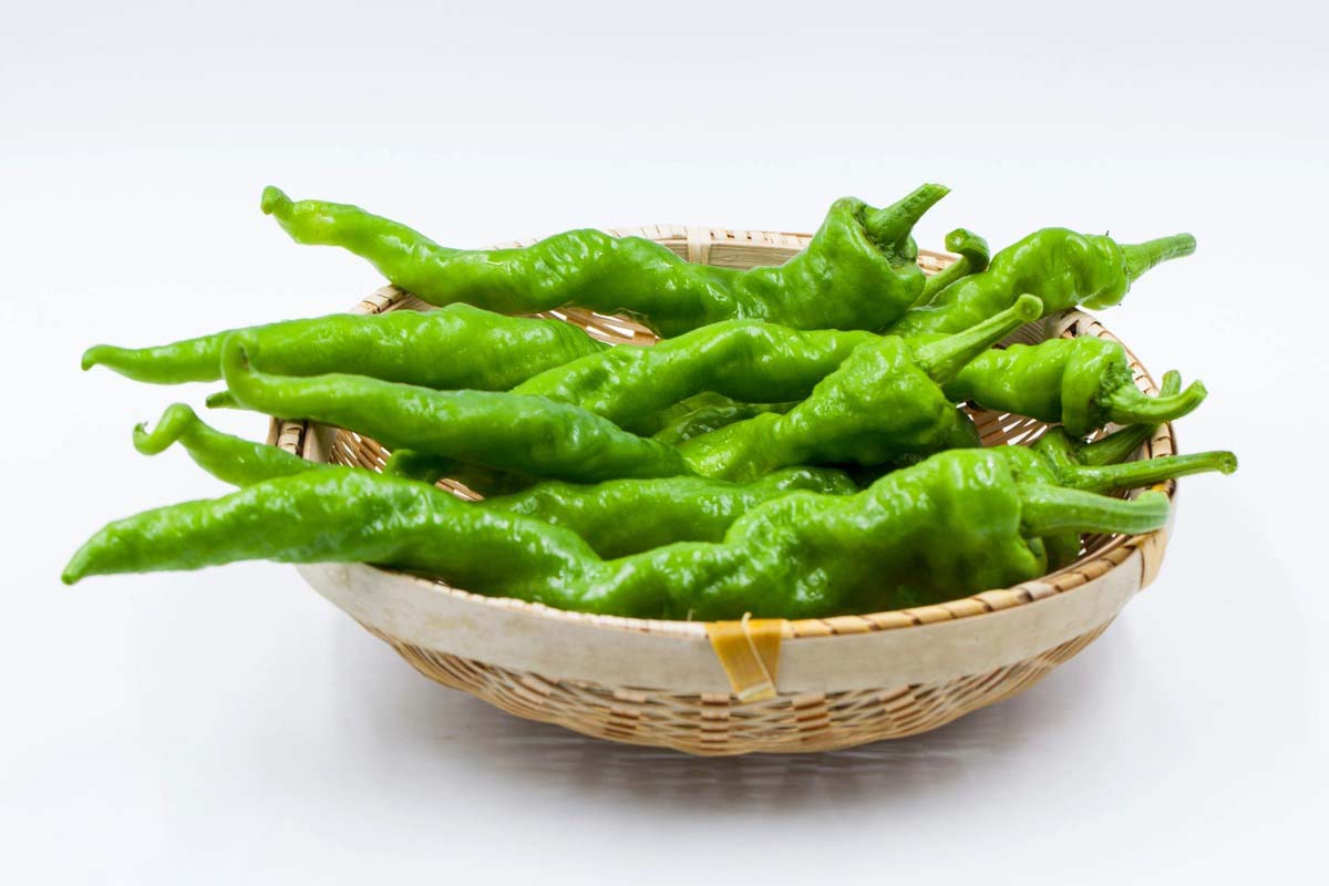 肉菜：美味佳肴，盡在你手邊！