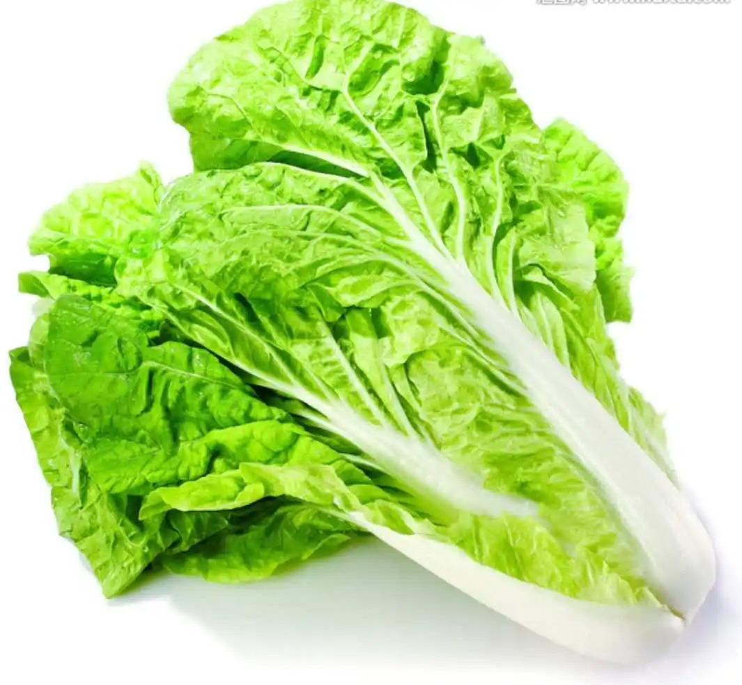 蔬菜配送價(jià)格表 2024-7-22