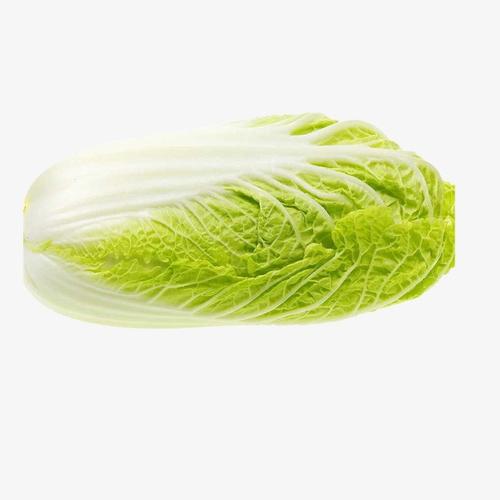 蔬菜配送庫存統(tǒng)計