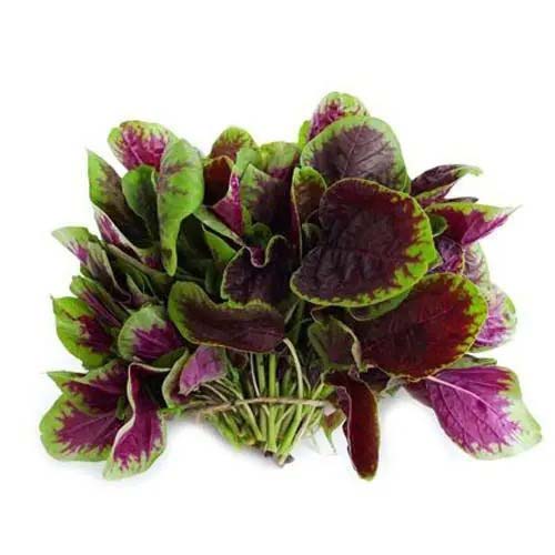 享受足不出戶網購鮮活菜品，盡在送貨上門app