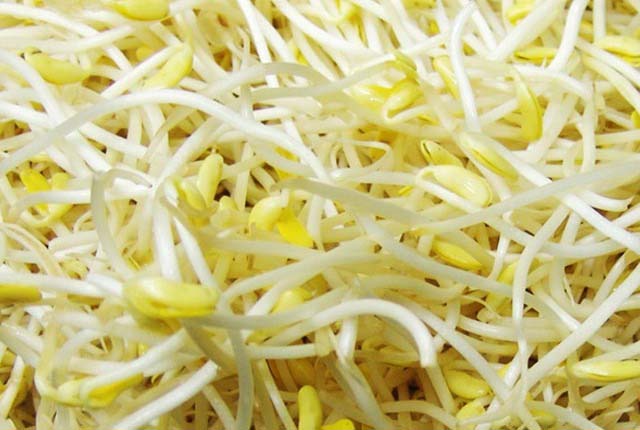 蔬菜新鮮送到門，健康從這里開始！