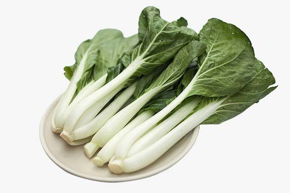 莞城有機(jī)蔬菜配送批發(fā)商