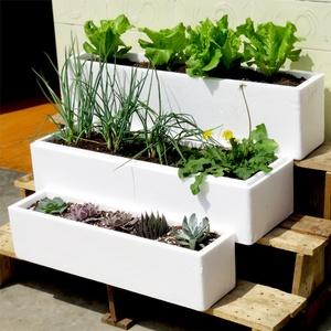 洪梅企業(yè)蔬菜配送多少錢