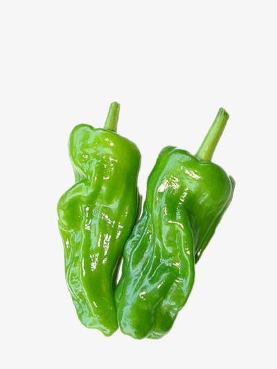 蔬菜配送價(jià)格表 2024-4-1