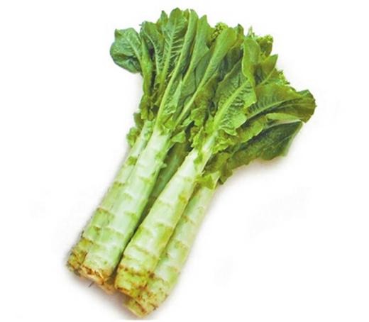 蔬菜配送價(jià)格表 2024-4-8