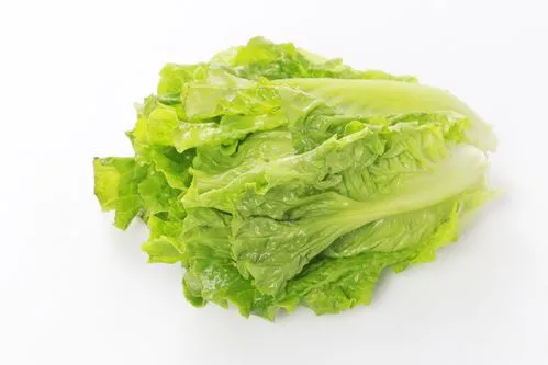 松崗蔬菜配送服務(wù)，新鮮美味直達(dá)您家！