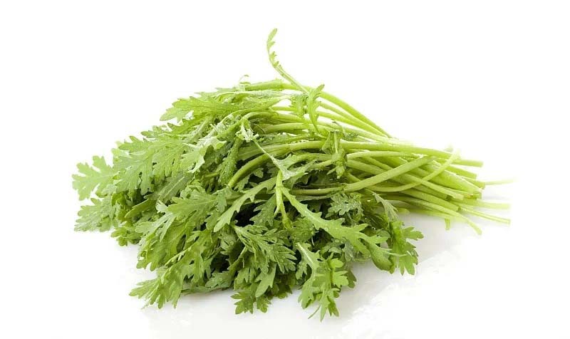 綠色健康無(wú)憂首宏蔬菜配送的無(wú)公害蔬菜服務(wù)