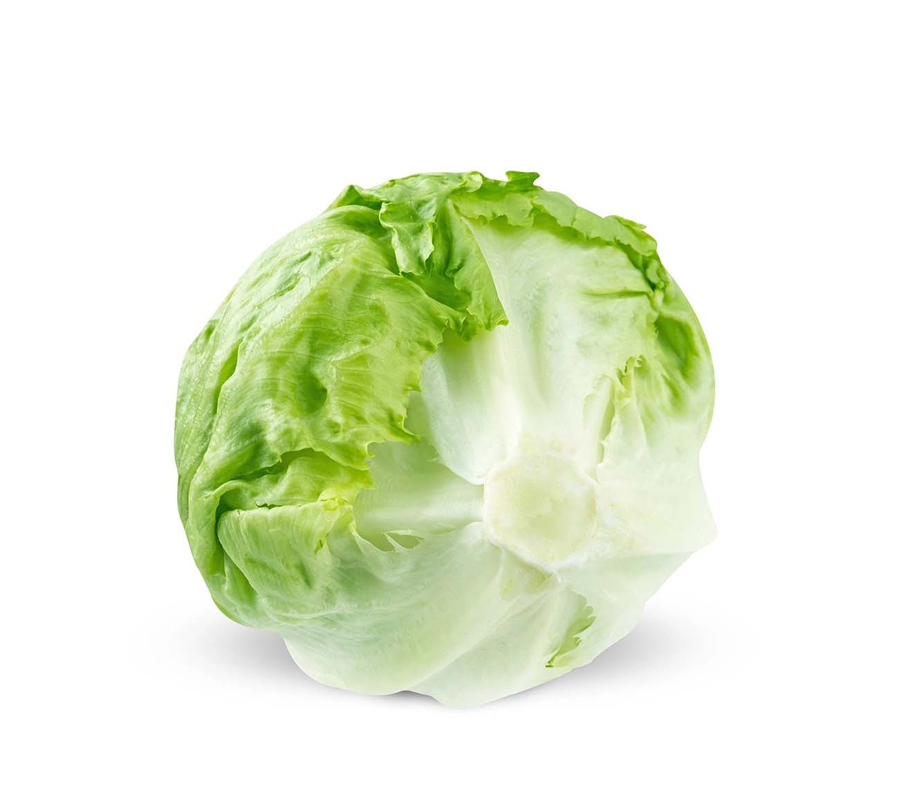 重慶日?qǐng)?bào)生鮮蔬菜配送中心在哪里