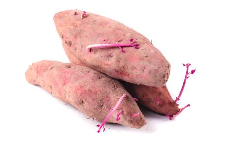 探索小于蔬菜配送的獨(dú)特魅力：天然新鮮的蔬菜之旅