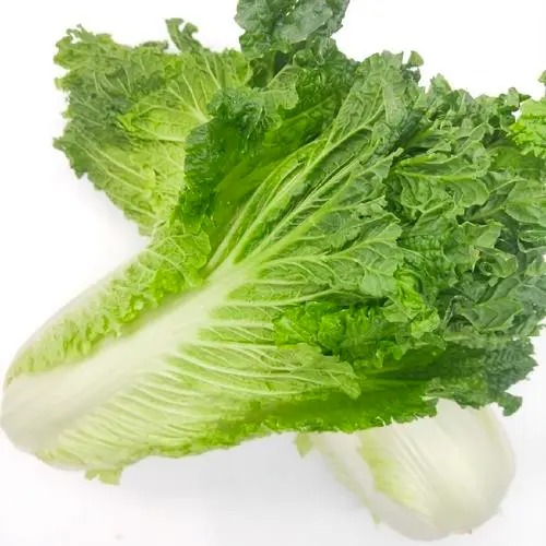 水果配送價(jià)格表 2024-10-28