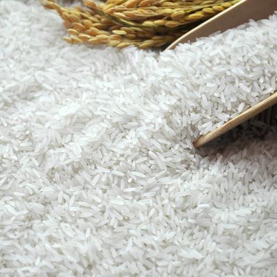 東莞市菜籃子價(jià)格監(jiān)測(cè)表（2024年8月12日-8月16日）