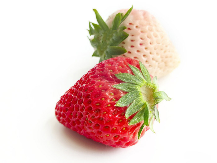 hongbaixiancao_12961429.jpg hongbaixiancao_12961429.jpg